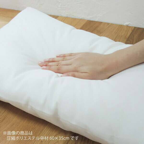 クッション中材 40×30cm 日本製 圧縮ポリエステル パンヤ ヌードクッション 肉厚 ふわふわ ホワイト 白 国産 オリジナル 川島織物セルコン LT1510 [3]