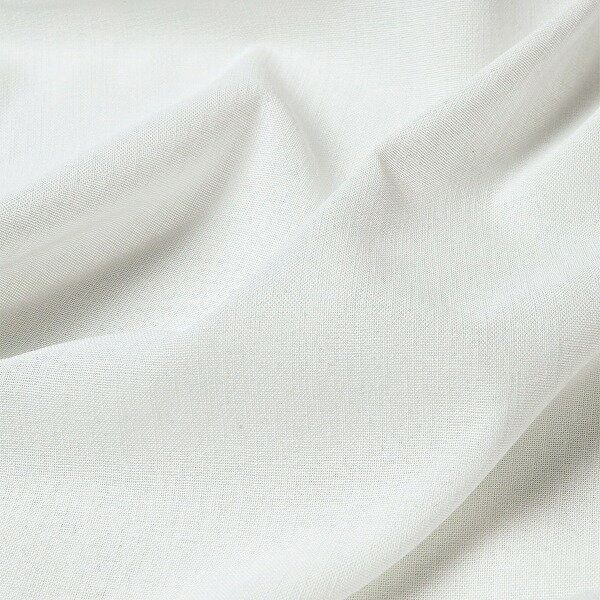 Բġۡڥɥ졼ϥץ roughʥա ʥA˥ ʥܥ꡼ 翥ʪ륳 ̵ RHF062