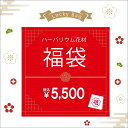 福袋 ハーバリウム 花材 キット 送料無料 手作り 瓶 花材 ギフト ハーバリュウム コンパクト おうち時間 プレゼント 敬老の日 父の日 母の日 ホワイトデー...