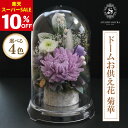 【楽天スーパーSALE10%OFF】プリザーブドフラワー 仏花 ドーム 一対 制作可 お悔やみ お供え お盆 初盆 新盆 供花 仏壇 お彼岸 送料無料 お供え花 一周忌 四十九日 仏壇 喪中 枯れない花 法事 造花 モダン おしゃれ 贈り物 ギフト プレゼント 菊華