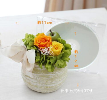どこにでも置けるサイズです。