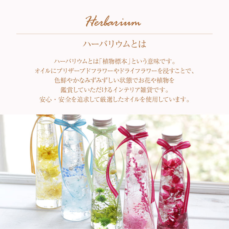 �ϡ��Хꥦ�� ���ե� ������̵���ۥץ쥼��� �� ���ˤ� ����ѥ��� �Х�󥿥��� ������ ���줵�� �ϤϤΤ� ������ ��� ���� �뺧��ǰ�� ���ߡ����ߡ������ ´�� �࿦ ���� ���� ���ñۤ� ���� ����ˤ����ϡ���ˡ�