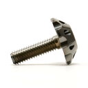 Star Bolt CNC加工 アンブレラヘッド SUS PVDチタンコート ボルト M6×20mm P1.0mm ブラック
