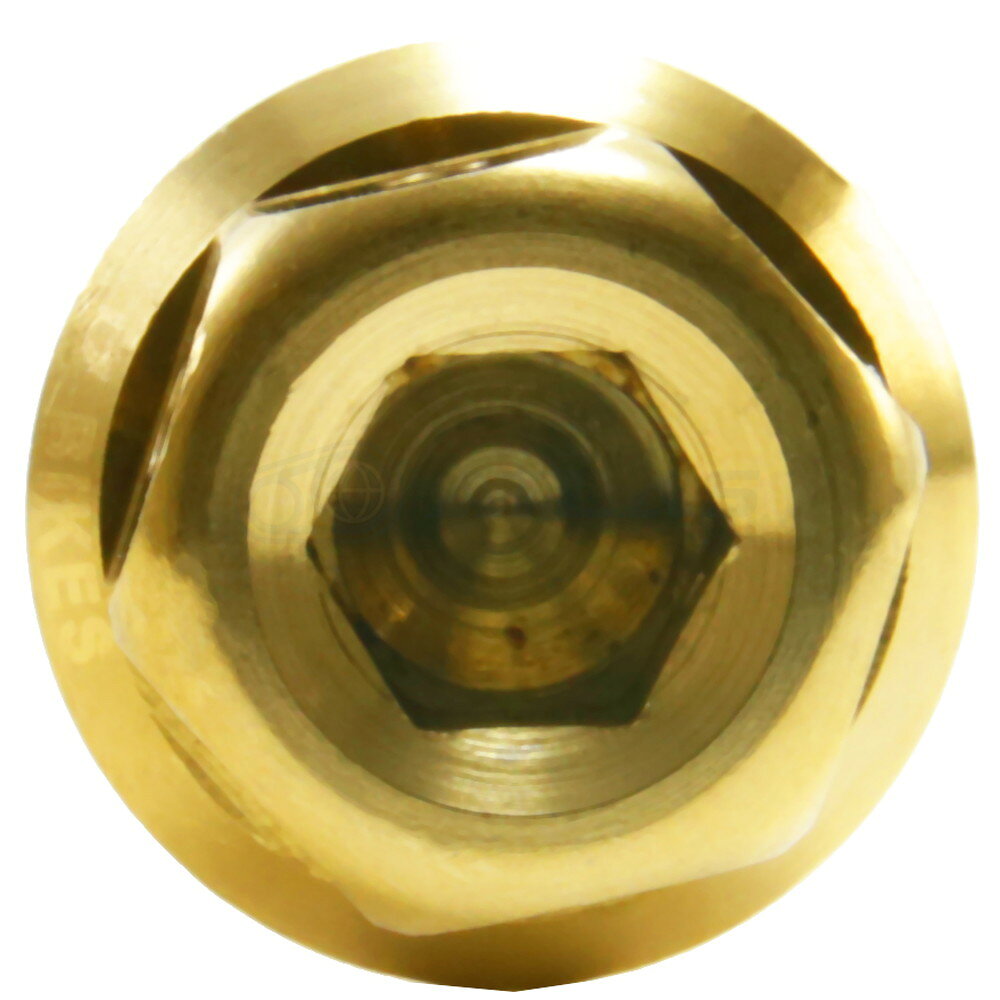 Star Bolt CNC加工 ヘキサゴンヘッド SUS PVDチタンコート ボルト M10×80mm P1.5mm ゴールド