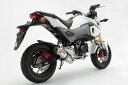 BEAMS }t[ O G175-53-008 GROM 2016~ R-EVO XeX r[X