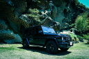 メルセデスベンツ Gクラス ゲレンデ AMG G63 G550 G350d W463型 カスタム【張替用】アートボード/アートパネル artmart アートマート ※フレーム別売 壁紙 額縁 ウォールステッカーで部屋をイメージアップ! モノトーン 花 海 モノクロ 北欧 車_ベンツ_g-class_dsc_2473(3)
