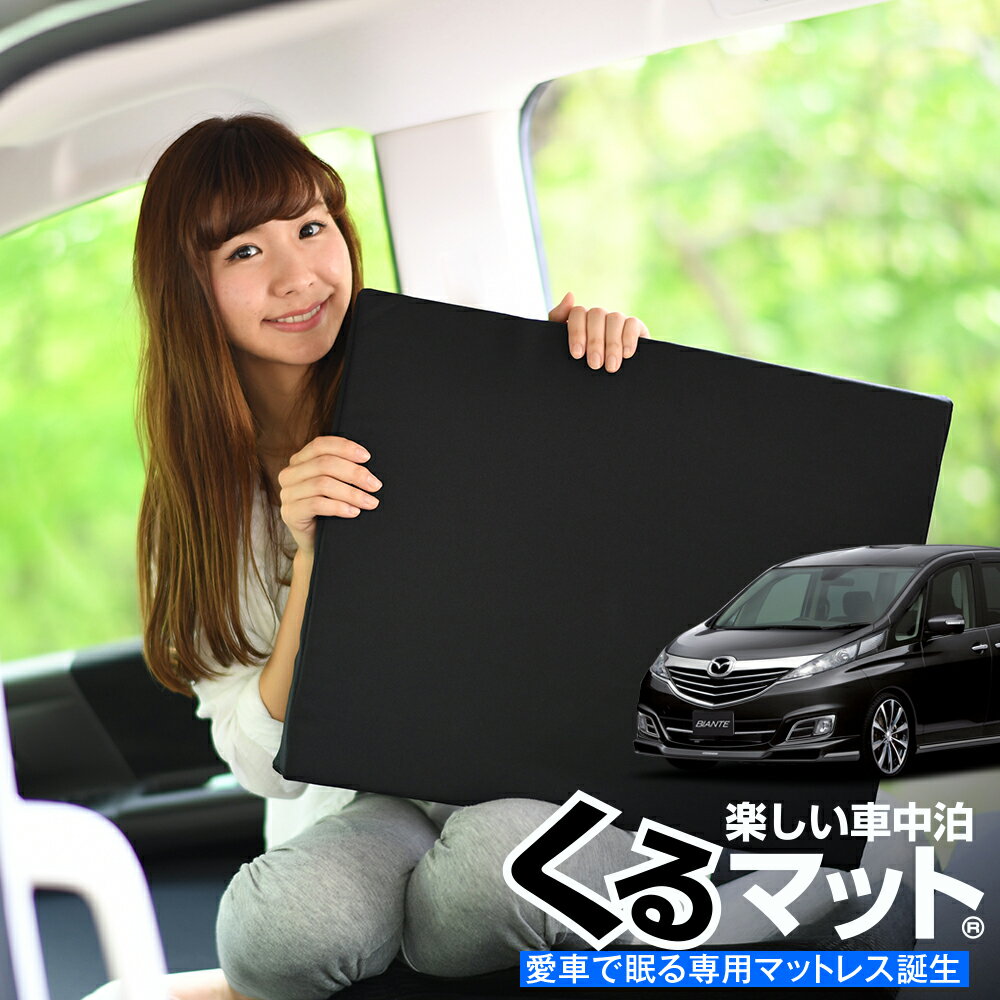 【23日マラソン1000円OFF】【お得4個】 車マット ビ