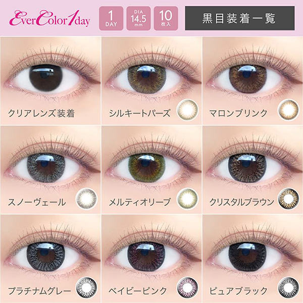 【送料無料】【YM】エバーカラーワンデー【1箱10枚入り】2箱セット（ 14.5mm / アイレ / ブラック / ブラウン / グレー / ピンク / 度あり / 度なし / 新木優子 / カラコン ）