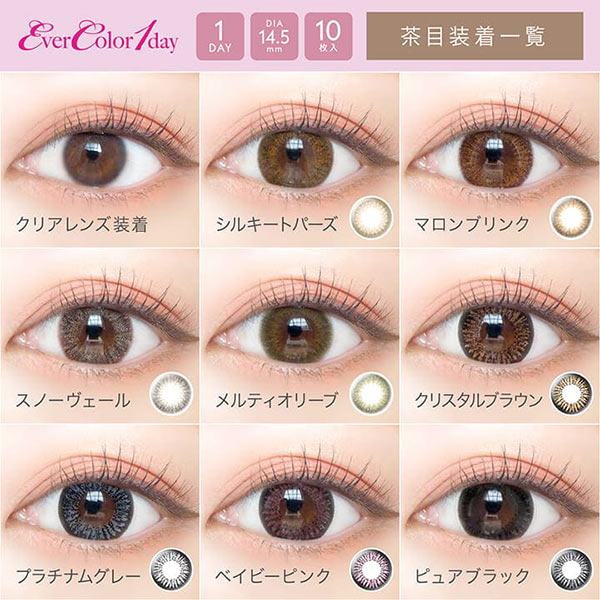 【送料無料】【YM】エバーカラーワンデー【1箱10枚入り】2箱セット（ 14.5mm / アイレ / ブラック / ブラウン / グレー / ピンク / 度あり / 度なし / 新木優子 / カラコン ）