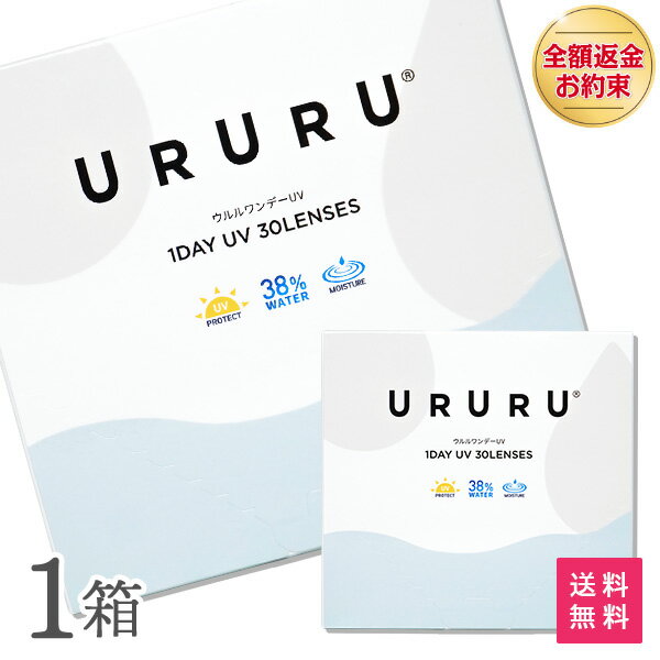 ウルルワンデーUVモイスト 1箱 30枚入 コンタクトレンズ 1日使い捨て ( 片眼1ヶ月分 コンタクト UVカット URURU 1DAY UV MOIST クリアレンズ 1dayタイプ クリアコンタクト クリアワンデー )