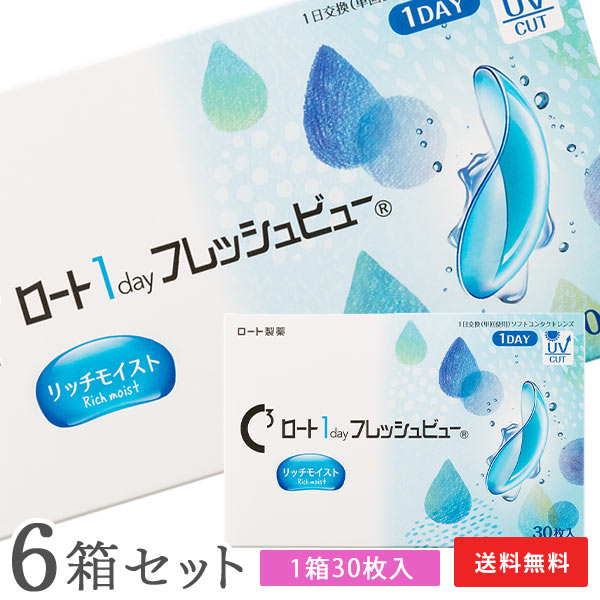 【送料無料】ロートワンデーフレッシュビューリッチモイスト 30枚入 6箱セット　1日使い捨てコンタクトレンズ（1箱30枚入り / ワンデー / 1day / ROHTO / 近視 / 遠視 ）