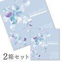 【送料無料】ピュアナチュラルプラス55% 2箱セット 30枚入 1日使い捨て (ピュアナチュラルワンデー SHOBIDO 粧美堂 クリアレンズ 1dayタイプ )(4)