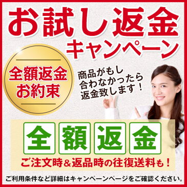 【送料無料】メニコンワンデー 8箱セット 1日使い捨て コンタクトレンズ