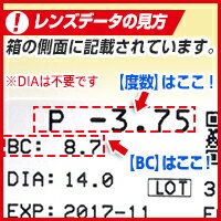 エルコンワンデーエクシード 1箱（エルコンワンデー / エルコン / エクシード / ワンデー / シンシア)【ポイント10倍】 2