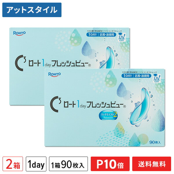 ロート ワンデーフレッシュビュー リッチモイスト2 90枚入 2箱セット 1日使い捨てコンタクトレンズ（1day / ROHTO / 近視 / 遠視 ）