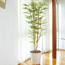 光触媒 観葉植物 インテリア 人工植物 フェイクグリーン アートグリーン 造花 おしゃれ 人工観葉植物 ディスプレイ ダイニング 店舗 お祝い グリーン 贈り物...
