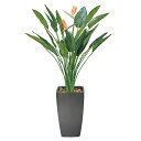 光触媒 観葉植物 人工植物 フェイクグリーン アートグリーン 造花 グリーン 人工観葉植物 抗菌 お祝い オフィス 除去 ホルムアルデヒド 玄関 店舗 ディスプ...