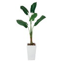 光触媒 観葉植物 人工植物 フェイクグリーン アートグリーン 造花 グリーン 人工観葉植物 消臭 店舗 抗菌 インテリア ディスプレイ 玄関 ホルムアルデヒド ...