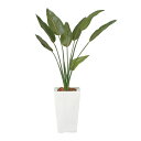 光触媒 観葉植物 人工植物 フェイクグリーン アートグリーン 造花 グリーン 人工観葉植物 おしゃれ ディスプレイ 贈り物 オフィス 除去 抗菌 インテリア 玄...