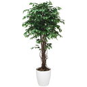 光触媒 観葉植物 人工植物 フェイクグリーン アートグリーン 造花 グリーン 人工観葉植物 ホルムアルデヒド 店舗 除去 ダイニング ディスプレイ 玄関 分解 ...