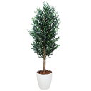 光触媒 観葉植物 人工植物 フェイクグリーン アートグリーン 造花 グリーン 人工観葉植物 ホルムアルデヒド リビング 店舗 オフィス インテリア 抗菌 ディス...