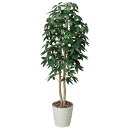 光触媒 観葉植物 人工植物 フェイクグリーン アートグリーン 造花 グリーン 人工観葉植物 ホルムアルデヒド 店舗 除去 ダイニング ディスプレイ 玄関 分解 ...