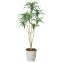 光触媒 観葉植物 人工植物 フェイクグリーン アートグリーン 造花 グリーン 人工観葉植物 ホルムアルデヒド リビング 店舗 オフィス インテリア 抗菌 ディス...