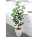 光触媒 観葉植物 人工植物 フェイクグリーン アートグリーン 造花 グリーン 人工観葉植物 ホルムアルデヒド リビング 店舗 オフィス インテリア 抗菌 ディス...