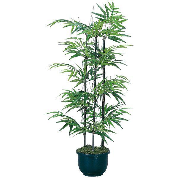 綠色 - 光触媒 観葉植物 人工植物 フェイクグリーン アートグリーン 造花 グリーン 人工観葉植物 ホルムアルデヒド リビング 店舗 オフィス インテリア 抗菌 ディスプレイ 分解 玄関 除去 ダイニング 消臭 おしゃれ ナチュラル 贈り物 プレゼント 引っ越し祝い お祝い 黒竹