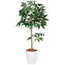 光触媒 観葉植物 人工植物 フェイクグリーン アートグリーン 造花 グリーン 人工観葉植物 ホルムアルデヒド リビング 除去 おしゃれ 店舗 インテリア 抗菌 ...