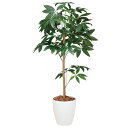 光触媒 観葉植物 人工植物 フェイクグリーン アートグリーン 造花 グリーン 人工観葉植物 ホルムアルデヒド リビング 除去 おしゃれ 店舗 インテリア 抗菌 ...