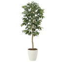光触媒 観葉植物 人工植物 フェイクグリーン アートグリーン 造花 グリーン 人工観葉植物 ホルムアルデヒド 店舗 除去 ダイニング ディスプレイ 玄関 分解 ...