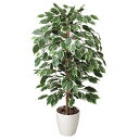 光触媒 観葉植物 人工植物 フェイクグリーン アートグリーン 造花 グリーン 人工観葉植物 ホルムアルデヒド 店舗 除去 ダイニング ディスプレイ 玄関 分解 ...