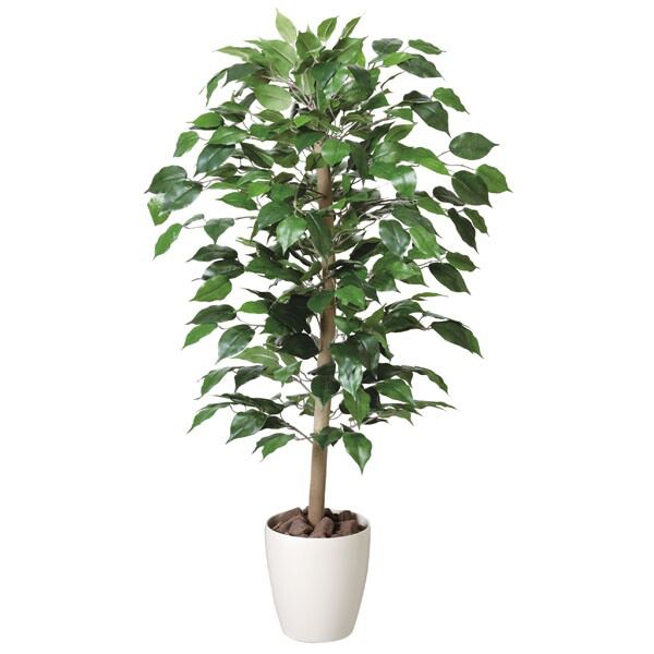 光触媒 観葉植物 人工植物 フェイクグリーン アートグリーン 造花 グリーン 人工観葉植物 ホルムアルデヒド 店舗 除去 ダイニング ディスプレイ 玄関 分解 オフィス 消臭 リビング インテリア 抗菌 おしゃれ ナチュラル 贈り物 プレゼント 引っ越し祝い お祝い ベンジャミン