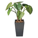 光触媒 観葉植物 人工植物 フェイクグリーン アートグリーン 造花 グリーン フェイク 人工観葉植物 オフィス お祝い ダイニング プレゼント 店舗 ディスプレ...
