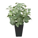 光触媒 デスク 観葉植物 フィットニアS(フロック加工) 高さ43cm テーブルタイプ ミニ観葉植物 人工観葉植物 ギフト フェイクグリーン プレゼント アート...