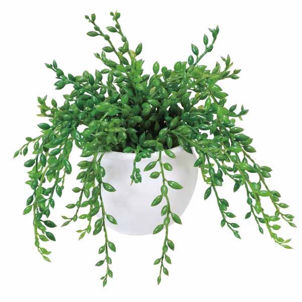 Rakuten - 光触媒 観葉植物 グリーンネックレス 高さ15cm テーブルタイプ ミニ観葉植物 フェイクグリーン ミニ 人工観葉植物 鉢植え 花 プレゼント ギフト 光の楽園 母の日ギフト グリーン 母の日 アートグリーン 造花 人工植物 インテリア 消臭 植物 インテリアグリーン おしゃれ