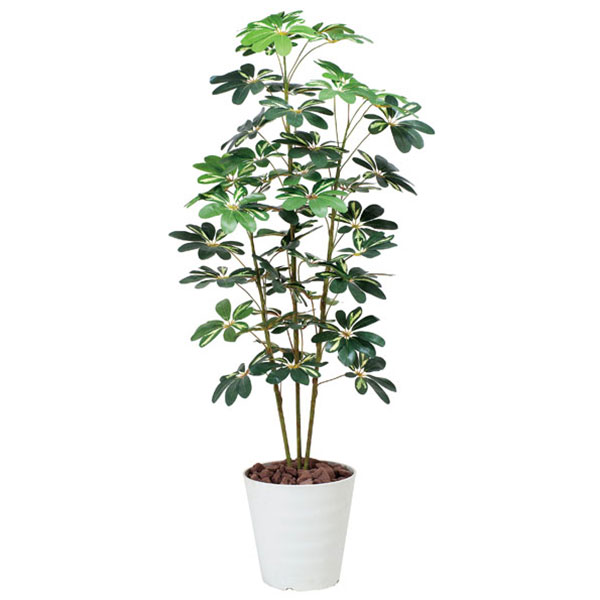 光触媒 観葉植物 人工植物 フェイクグリーン 人工観葉植物 アートグリーン 造花 グリーン 抗菌 リビング インテリア 除去 ホルムアルデヒド おしゃれ 店舗 ディスプレイ ナチュラル ダイニング 玄関 オフィス プレゼント 贈り物 引っ越し祝い お祝い 新築祝い カポック斑入り