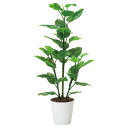 光触媒 観葉植物 人工植物 フェイクグリーン 人工観葉植物 アートグリーン 造花 グリーン ホルムアルデヒド リビング 除去 プレゼント 店舗 インテリア 玄関...