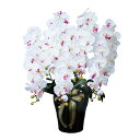 光触媒 胡蝶蘭 人工観葉植物 フェイクグリーン 造花 5本立ち抗菌 精巧 ロイヤル胡蝶蘭 消臭 オフィス 観葉植物 人工植物 玄関 おしゃれ カフェ 光の楽園 ...