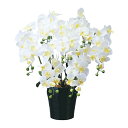 光触媒 胡蝶蘭 人工観葉植物 フェイクグリーン 造花 7本立ち 抗菌 精巧 キング胡蝶蘭 光の楽園 玄関 北欧 観葉植物 人工植物 消臭 オフィス インテリアグ...