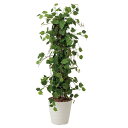 光触媒 観葉植物 人工植物 フェイクグリーン アートグリーン 造花 グリーン 人工観葉植物 抗菌 カフェ 店舗 ディスプレイ インテリア 玄関 ナチュラル おし...