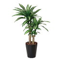 光触媒 観葉植物 人工植物 フェイクグリーン アートグリーン 造花 グリーン 人工観葉植物 抗菌 オフィス ナチュラル ディスプレイ 玄関 カフェ 消臭 インテ...