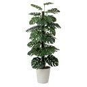 光触媒 観葉植物 人工植物 フェイクグリーン アートグリーン 造花 グリーン 人工観葉植物 抗菌 カフェ 店舗 ディスプレイ インテリア 玄関 ナチュラル おし...