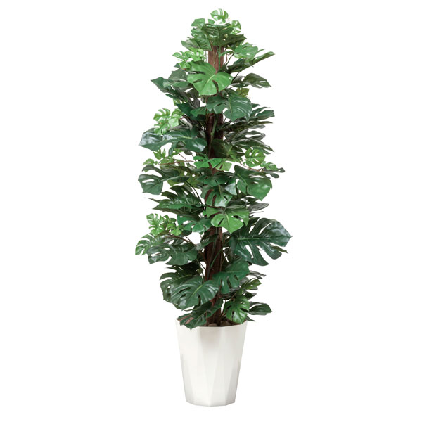 光触媒 観葉植物 人工植物 フェイクグリーン アートグリーン 造花 グリーン 人工観葉植物 抗菌 カフェ 店舗 ディスプレイ インテリア 玄関 ナチュラル おしゃれ 贈り物 消臭 お祝い オフィス リビング ダイニング プレゼント 引っ越し祝い 新築祝い スプリット