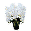 光触媒 胡蝶蘭 観葉植物 フラワー 花 プレゼント フラワーアレンジメント 造花 母の日 玄関 お祝い 敬老の日 ダイニング アレンジメントフラワー 白 インテ...