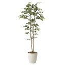 光触媒 観葉植物 枯れない インテリアグリーン イミテーション 植物 人工観葉植物 消臭 抗菌 母の日 ギフト ナチュラル インテリア フェイク 記念日 イミテ...