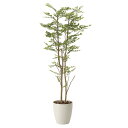 光触媒 観葉植物 枯れない 人工観葉植物 抗菌 消臭 高さ160cm イミテーション フェイク 記念日 リビング 贈り物 インテリアグリーン ナチュラル フェイ...