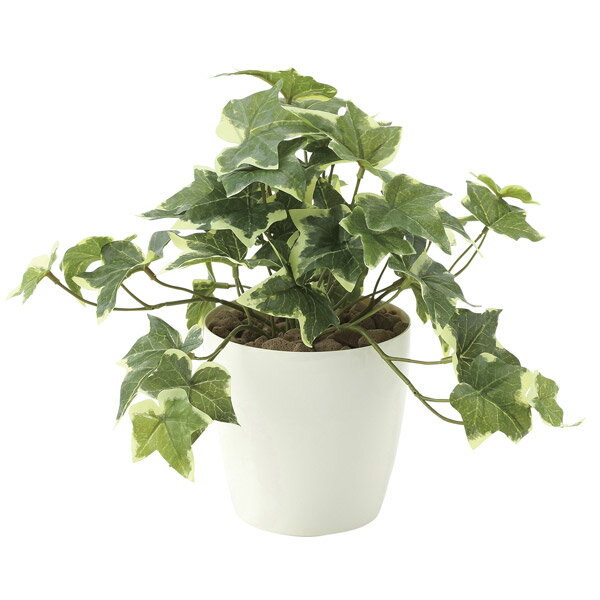 人工観葉植物 光触媒 観葉植物 ミニ フェイクグリーン インテリア イミテーショングリーン インテリアグリーン モダン 母の日 フレッシュ斑入りアイビーS プレゼント グリーン おしゃれ ミニ観葉植物 高さ25cm 花 鉢植え 人工植物 フェイク ギフト お祝い 新築祝い 開店祝い
