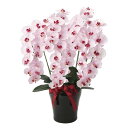胡蝶蘭 光触媒 観葉植物 フラワー コチョウラン ピンク 造花 枯れない 花 エントランス 玄関 ギフト 祝い 敬老の日 光触媒 母の日 贈り物 記念日 店舗 ...